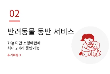반려동물