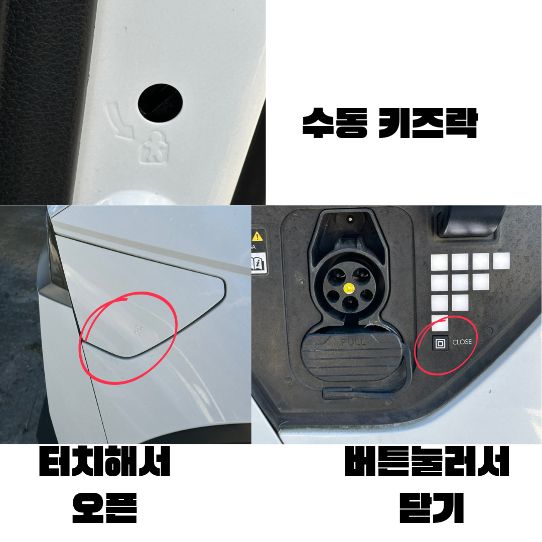 1737163921874_7.png
